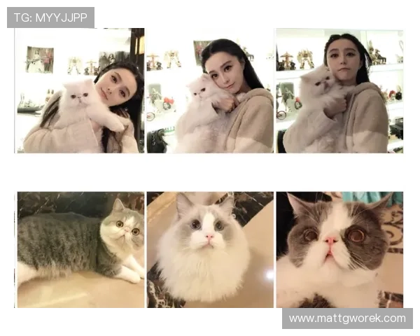 星空娱乐网:关注粉丝互动与明星粉丝文化的多元交流平台 星空娱乐网:关注粉丝互动与明星粉丝文化的多元交流平台