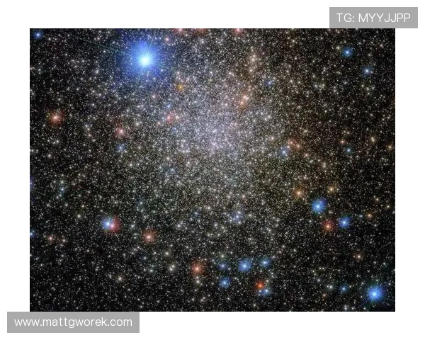 如何快速找到星空体育的准确位置？提供详细地址和导航建议