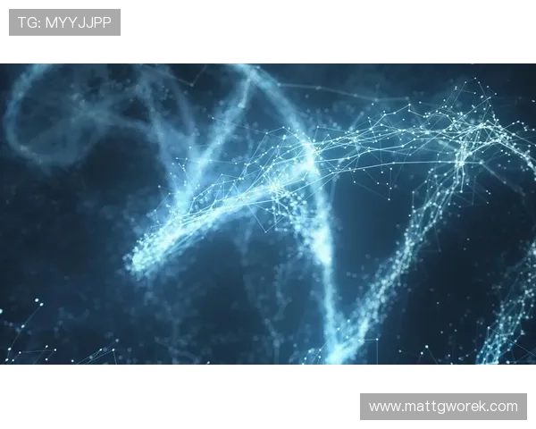 星空体育网站入口官方渠道推荐与访问技巧详解