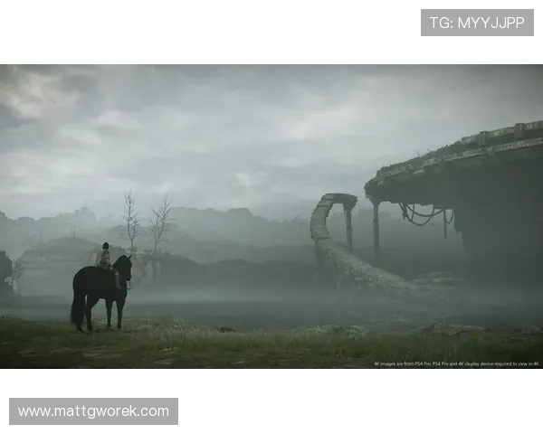 星空娱乐苹果版免费下载入口，享受高清画质和流畅操作