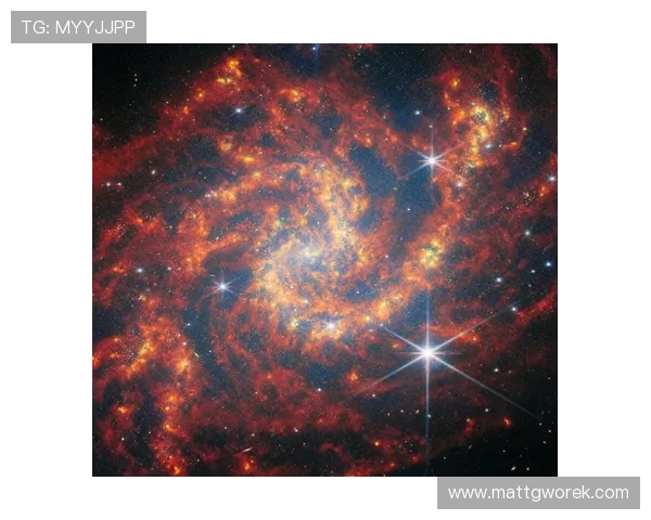 利用星空官方深入理解星体演化与空间探索的前沿资讯