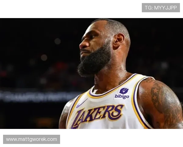 星空体育app官方入口下载安装最完整攻略，助你轻松开启体育新体验