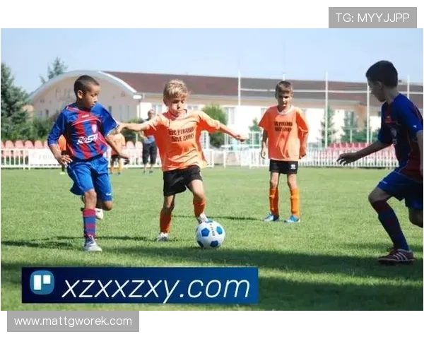 星空体育官方网站首页为用户提供的多样体育赛事直播服务介绍