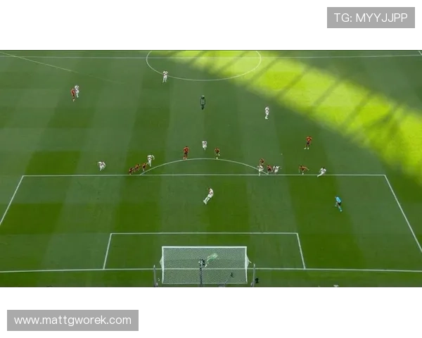 星空体育官网网页版：常见问题解答及加载速度优化指导